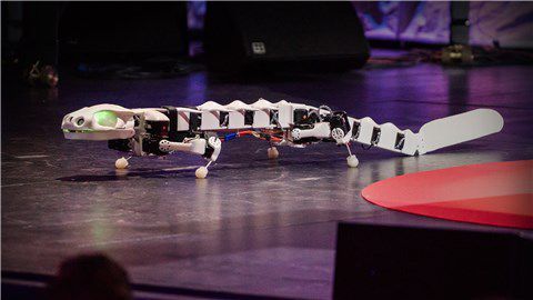 【TED】四脚爬行的机器人