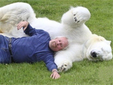 有爱纪录片：我家泳池有只北极熊！