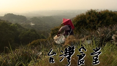 公视纪录片：台湾食堂