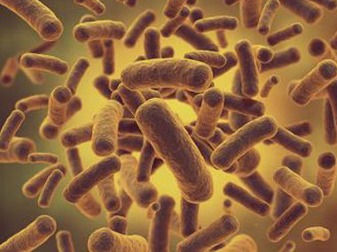 天津医科大学公开课：微生物与人类疾病