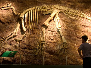 美国国家自然历史博物馆公开课：后院的恐龙