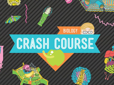 Crash Course--《十分钟生物学》