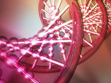 西南大学公开课：生活中的DNA科学