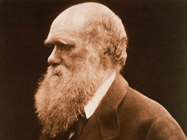 斯坦福大学公开课：达尔文的遗产